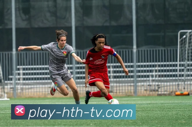 hth华体会APP 封面图